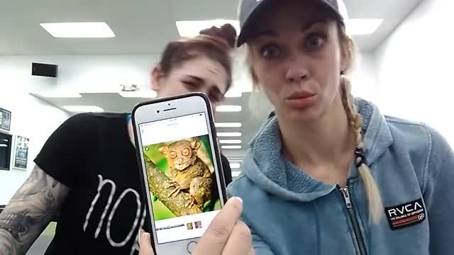 Megan Anderson and Laura Sanko - Someone Said That Laura Looked Like a Tarsier