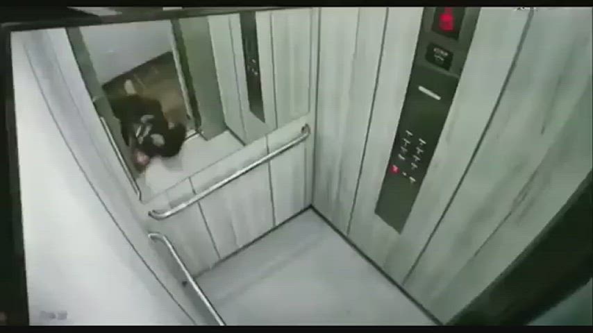 A woman attacked by her own pitbull in an elevator