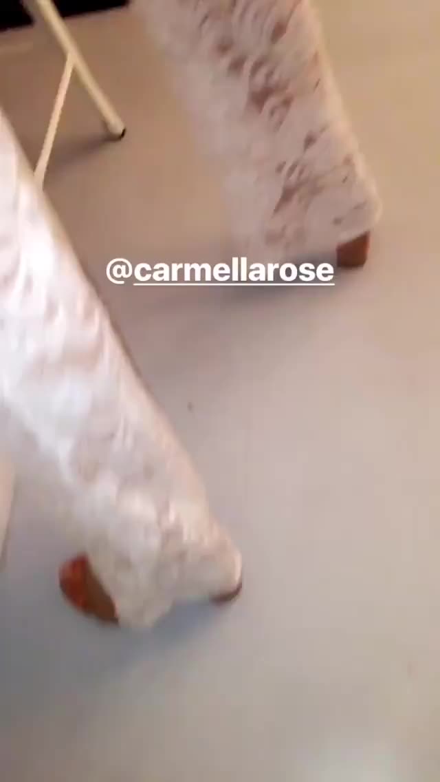 Carmella Rose Dancing clip