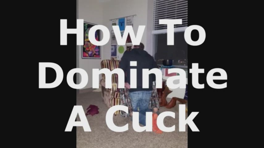 bull cuckold hotwife clip