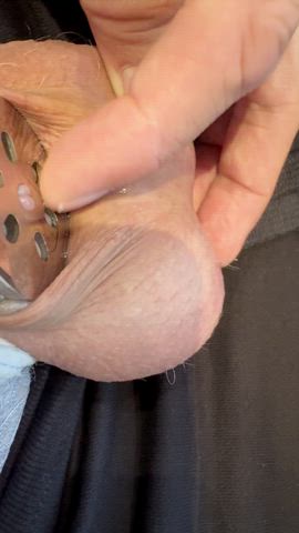 butt plug chastity cum leaking sissy sissy slut microchastity clip