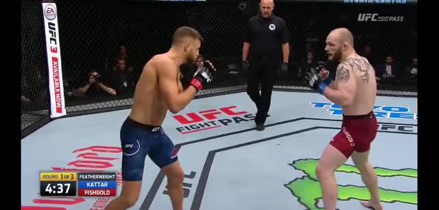 Kattar |Fishgold| takedown -> flurry