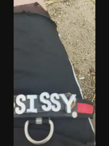Gay Sissy Trans clip