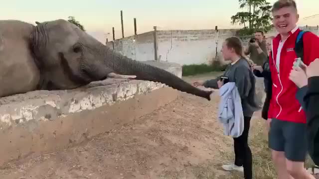 Don’t mess with the elephants