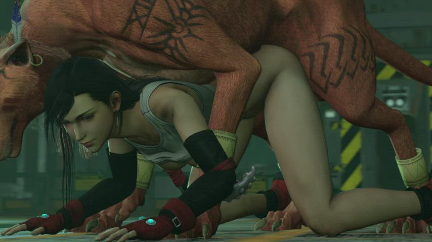 Tifa and Red XIII (DevilsCry) [Final Fantasy VII]