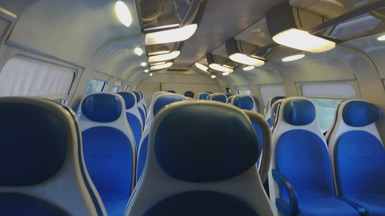 Public Cumshot On A Train (Uncut Cock) #2