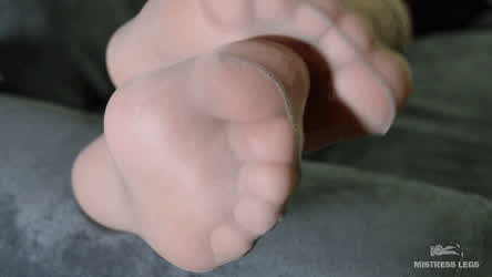 Feet Feet Fetish Foot Fetish Goddess Nylon Soles Stockings Toes clip