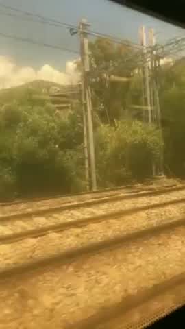 Sneaky Train Blowjob
