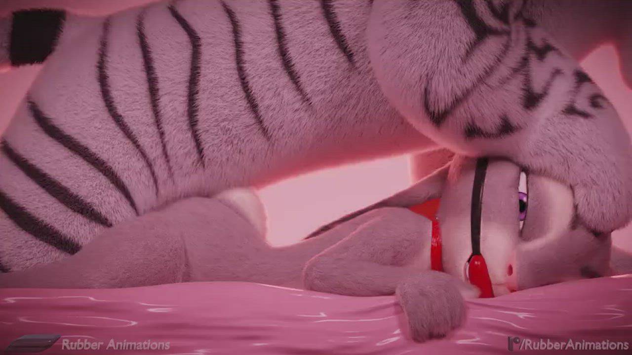Animation BDSM Ball Gagged Bunny Kitty Pronebone clip