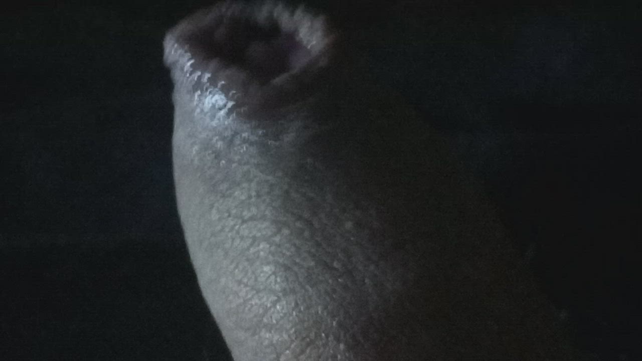 cock foreskin male masturbation penis clip