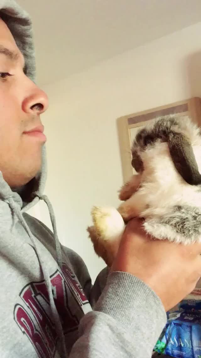 Baby Bunny Hates Kisses