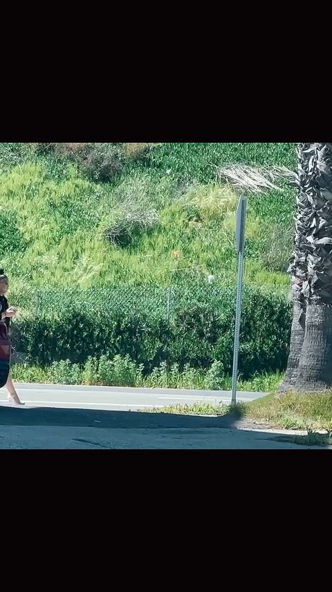 bbw escort prostitute thick clip