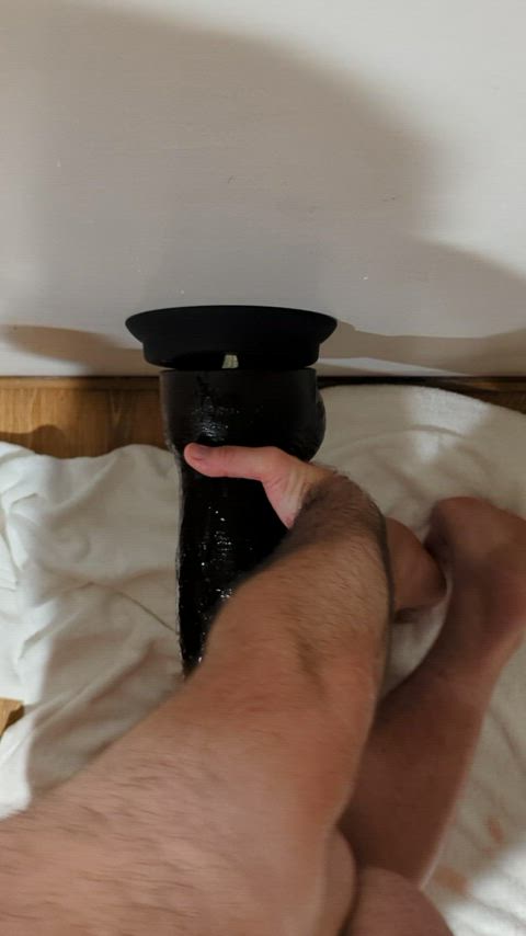 anal bear huge dildo stretching clip