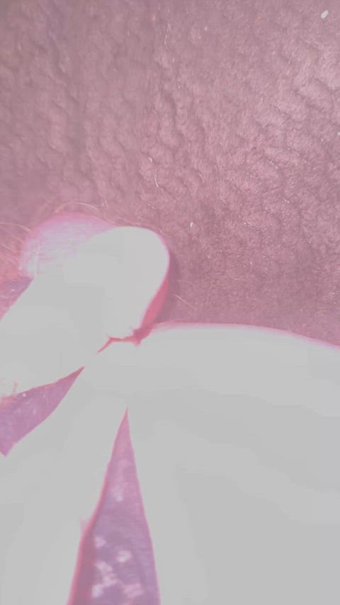 cock hairy cock small cock clip