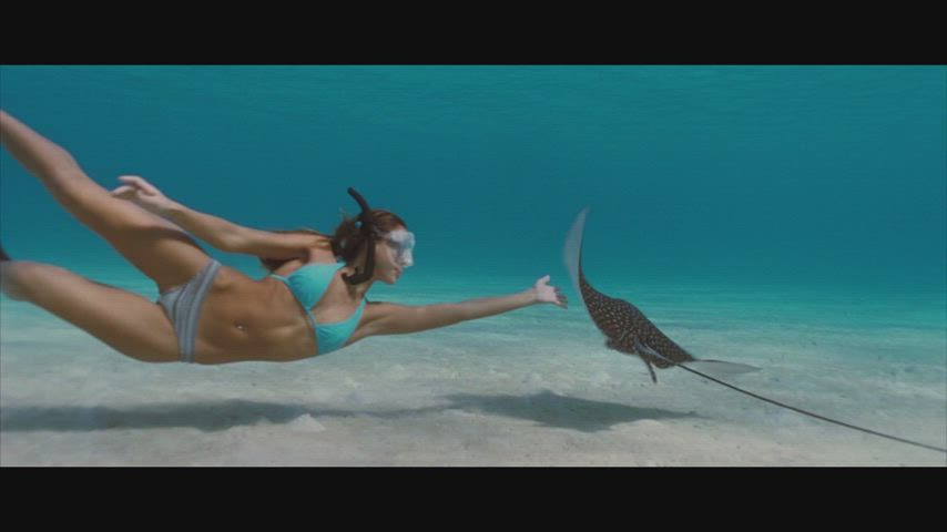 bikini celebrity jessica alba clip