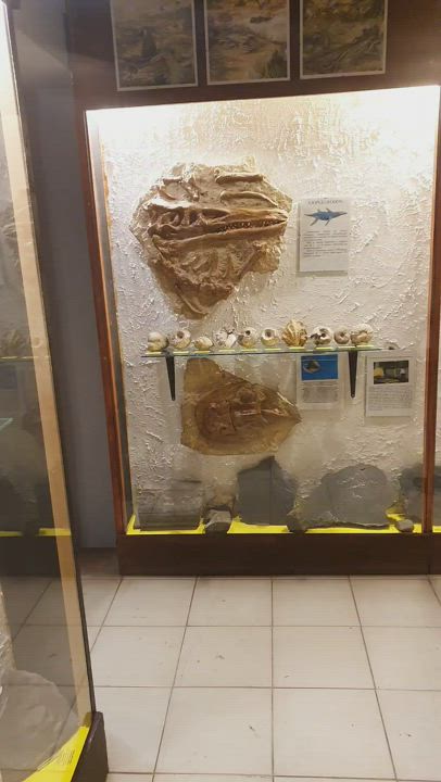 At the Mineraological Museum. I also presented my treasures. heh
