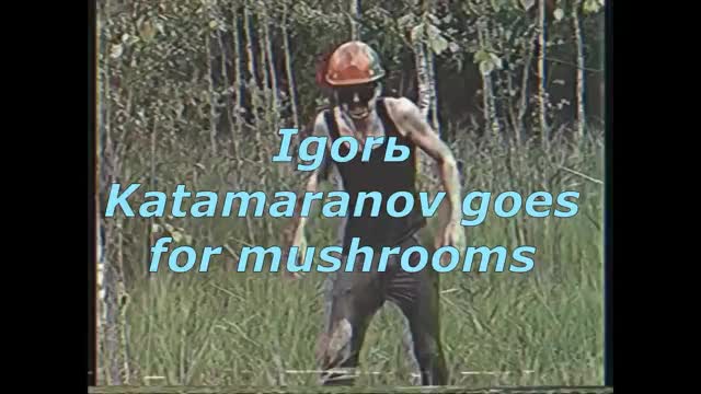 ripsave - AL Katamaranov goes for mushromms(subtitles)(details in comments)