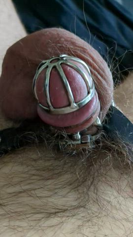 chastity gay penis clip