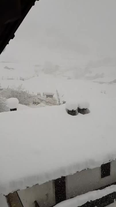 ripsave - Lamdslide due to heavy snow. Winter 2019 northern Italy