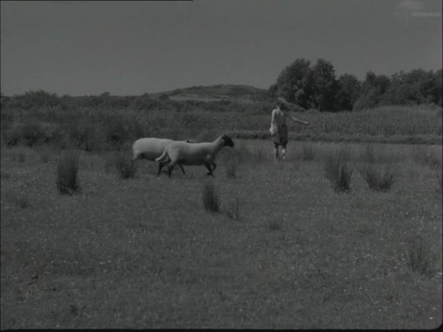 Tove Rønnenkamp Maës - Ditte Menneskebarn (1946)