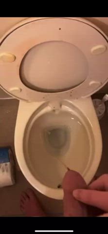 little dick piss pissing toilet clip