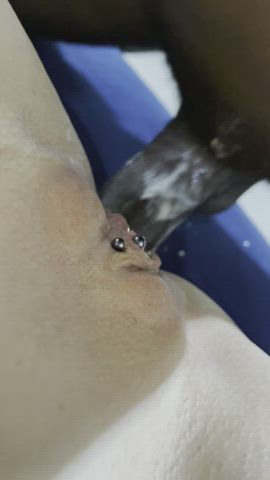 POV of my bald pierced pussy while my asshole is destroyed by a BBC