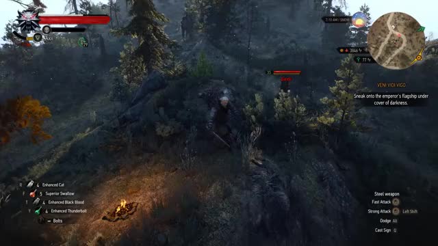 [The Witcher 3] Right down the middle.
