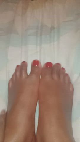 Feet Fetish Feet Toes Oiled Porn GIF by submissivemami