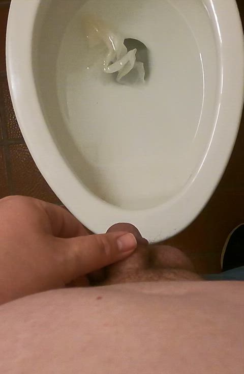 masturbating pee peeing penis public shaved small cock tiny toilet clip